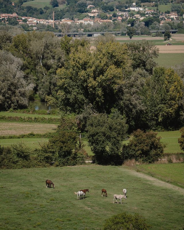 Il verde e il paesaggio della Valle del Tevere