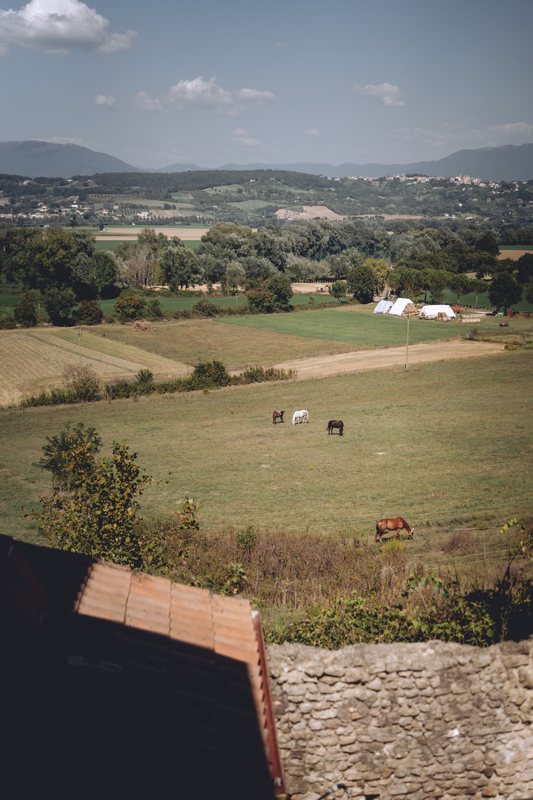 Il verde e il paesaggio della Valle del Tevere