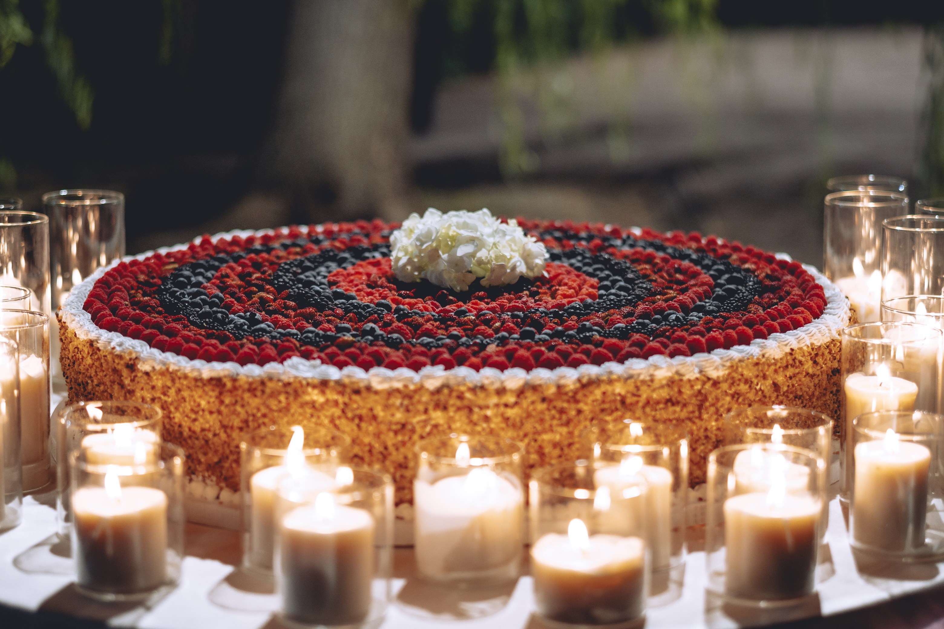 Il taglio della torta nel giardino