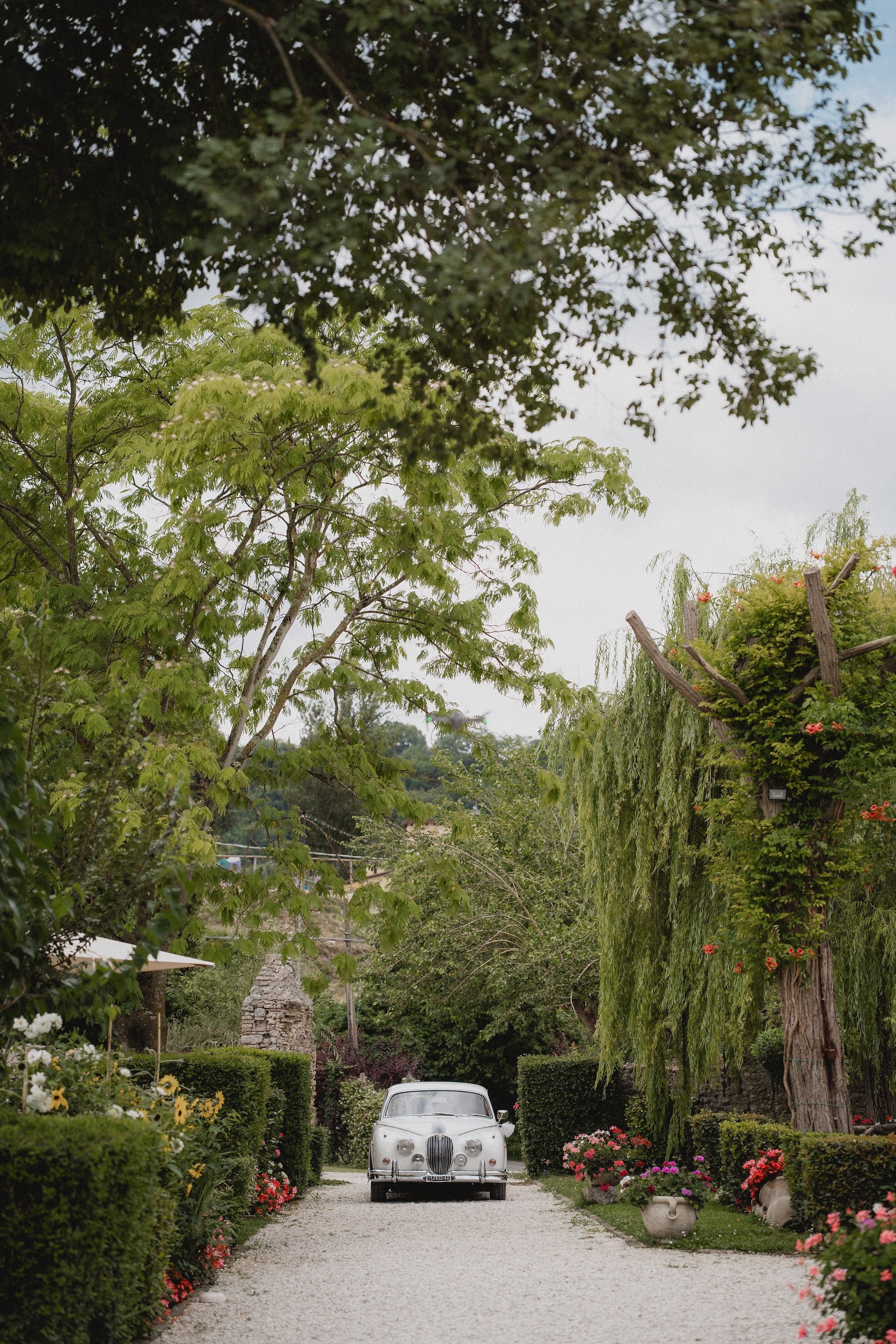 Il viale d’ingresso nel giardino dell’Abbazia