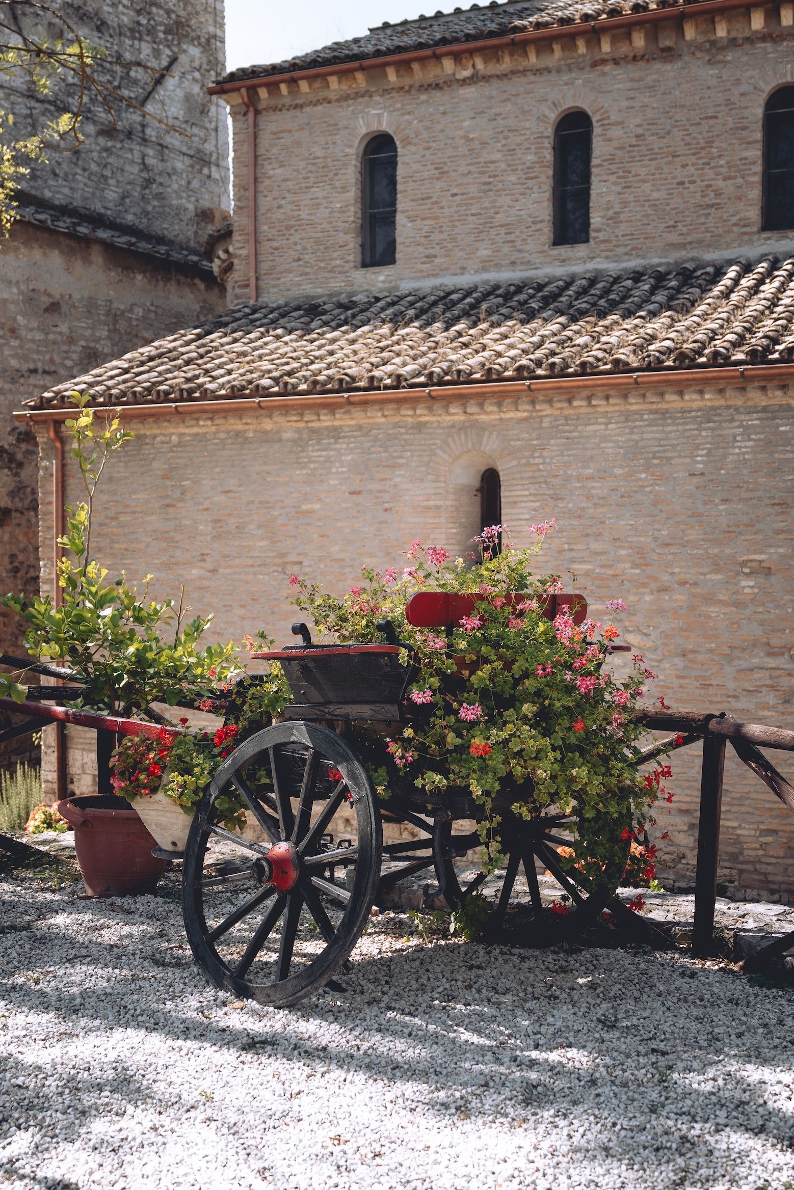Dettagli e fiori accanto alle architetture dell’Abbazia